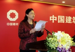 姚燕总经理在中国总集团2012年工作会议上的讲话