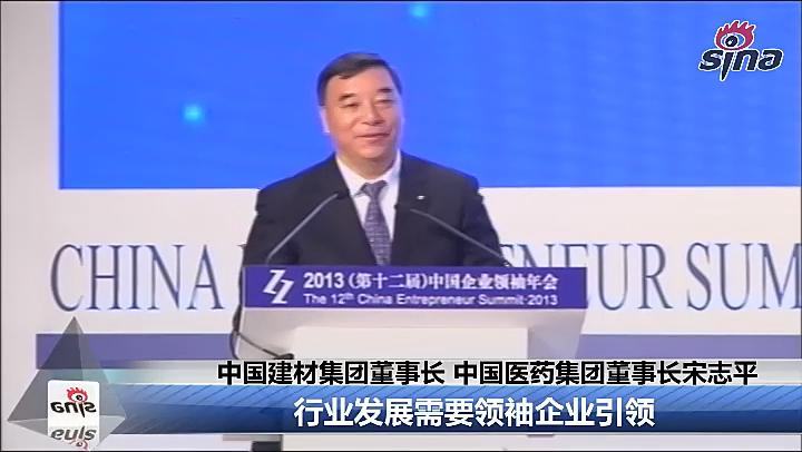 2013中国企业领袖年会：宋志平：行业发展需要领袖企业引领