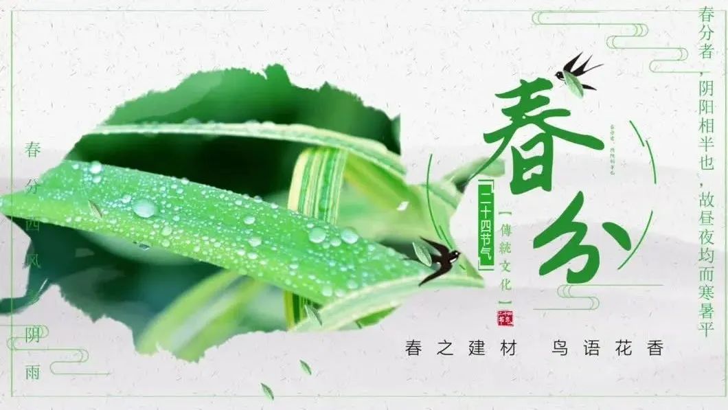 今日春分 | 春之总，鸟语花香