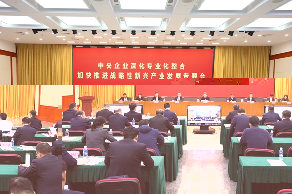 战新.jpg