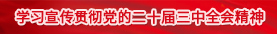 学习宣传贯彻党的二十届三中全会精神